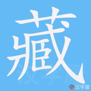 藏 meaning|藏